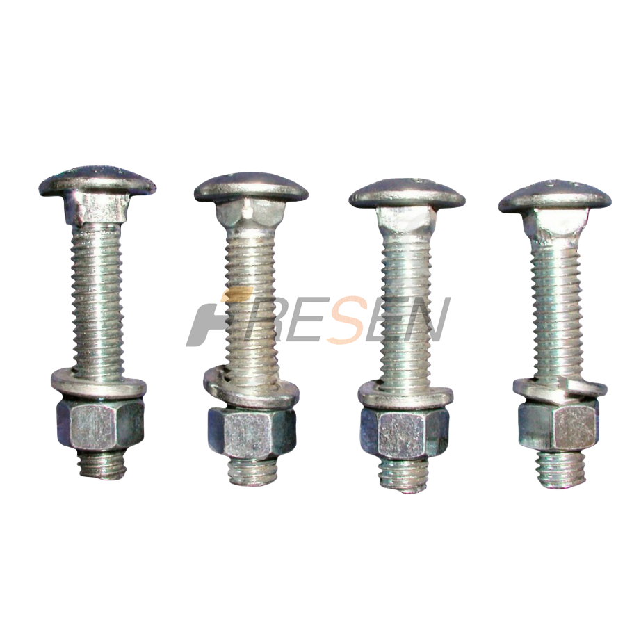 Carriage Bolts
